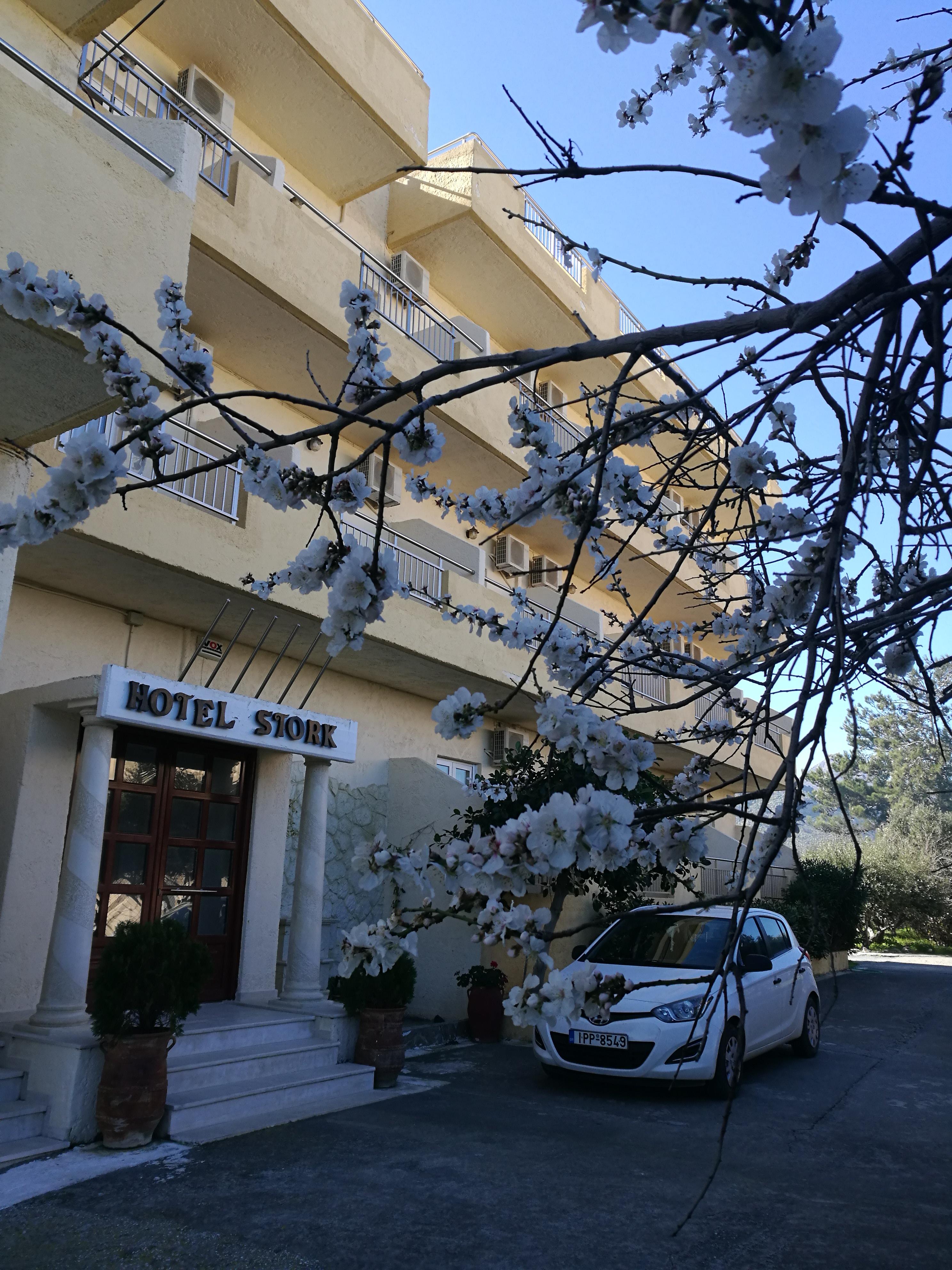 Stork Hotel Amoudara Lasithiou Exterior foto